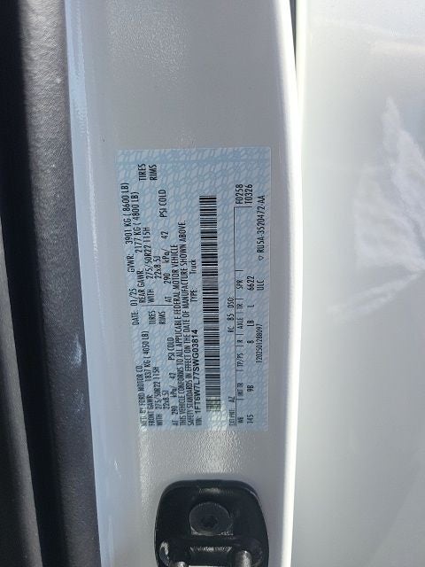 2025 Ford F-150 Lightning Platinum