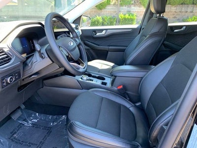 2025 Ford Escape Plug-In Hybrid Base